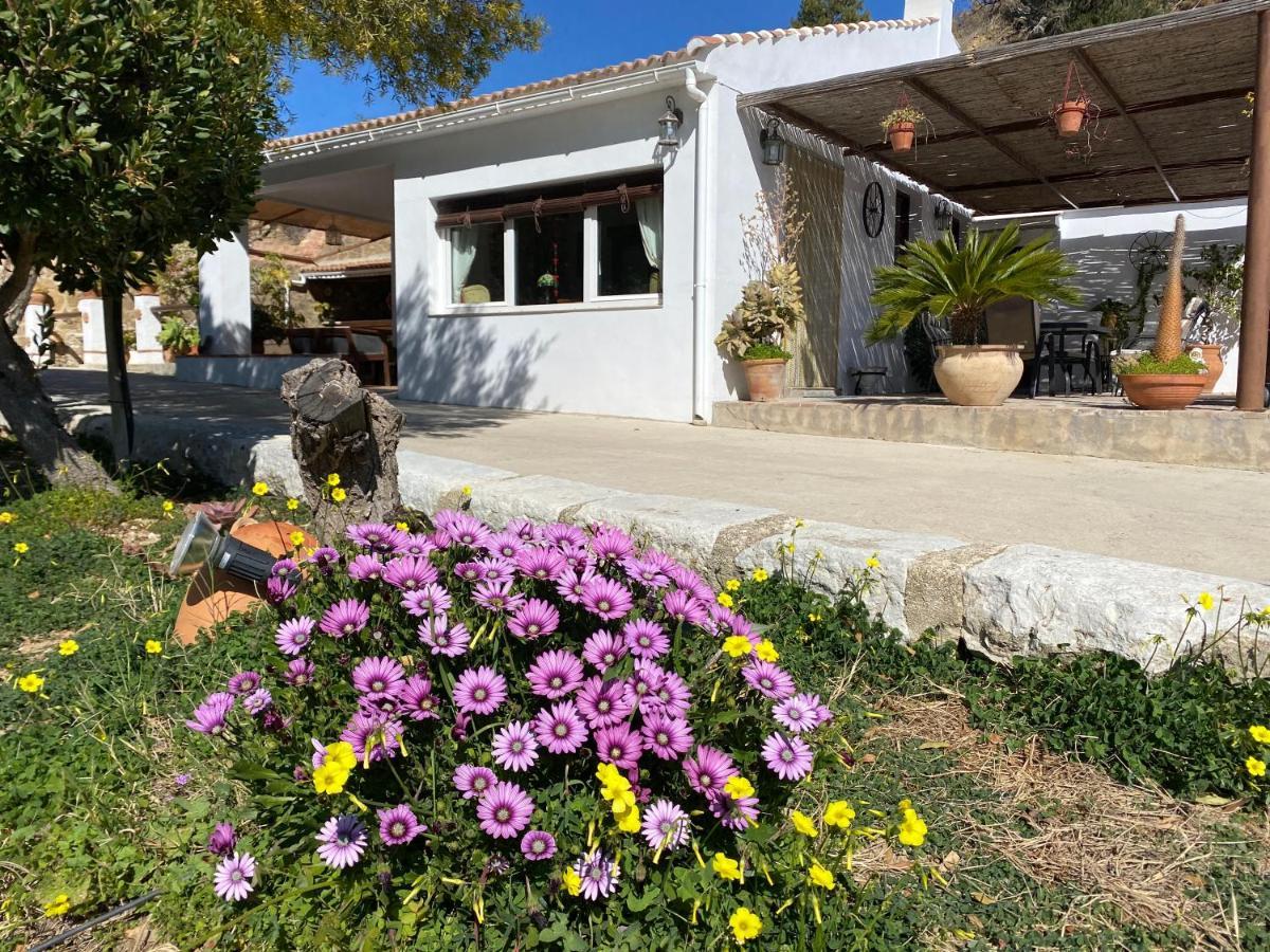 Casa El Saladillo Villa Valle de Abdalagís Eksteriør bilde